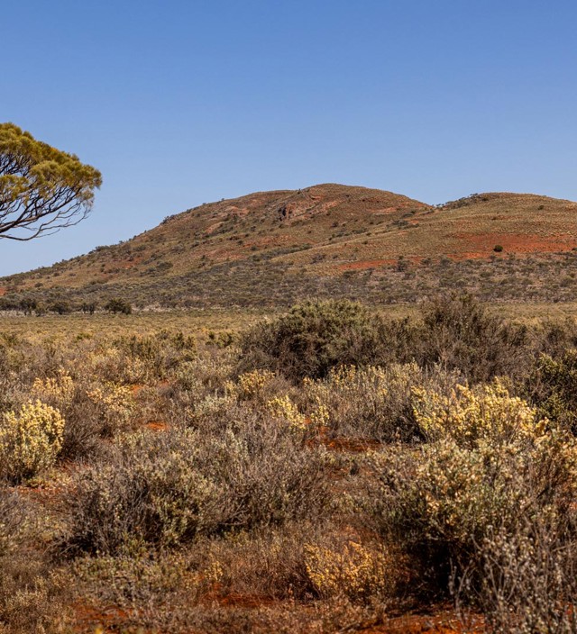 THE EYRE PENINSULA TRAVEL BLOG