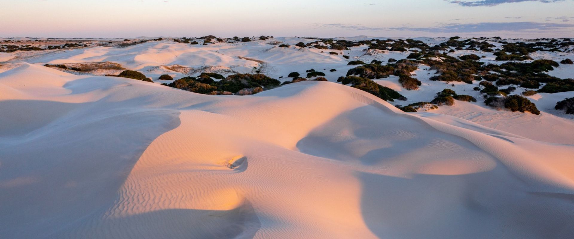 Header Image Yalata Sand Dunes (South Australian Tourism Commission Isaac Forman)