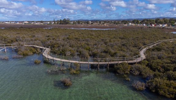 Mangrove boardwalk in Cowell (Alexander Kesselaar)