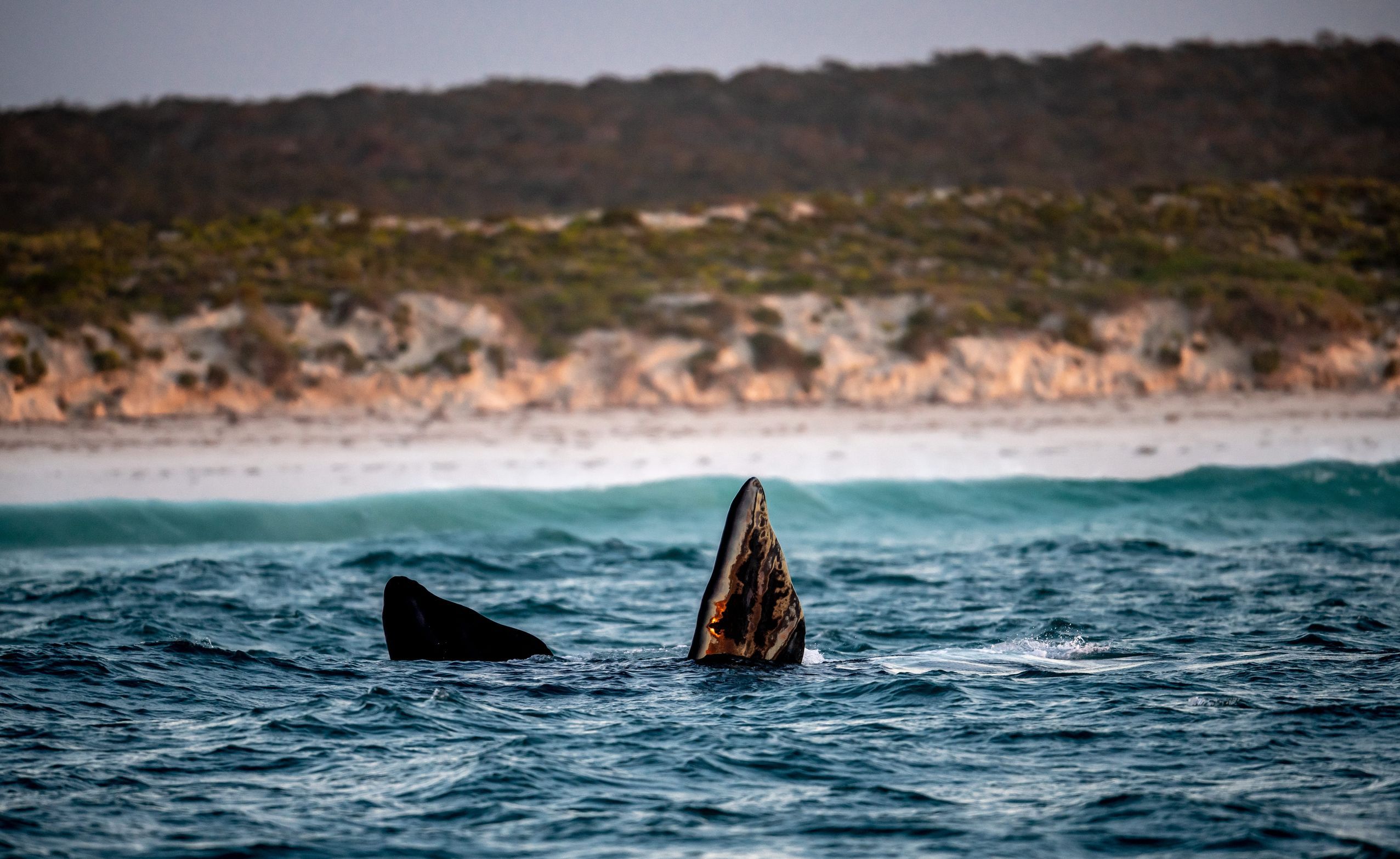 Nullarbor & Far West
