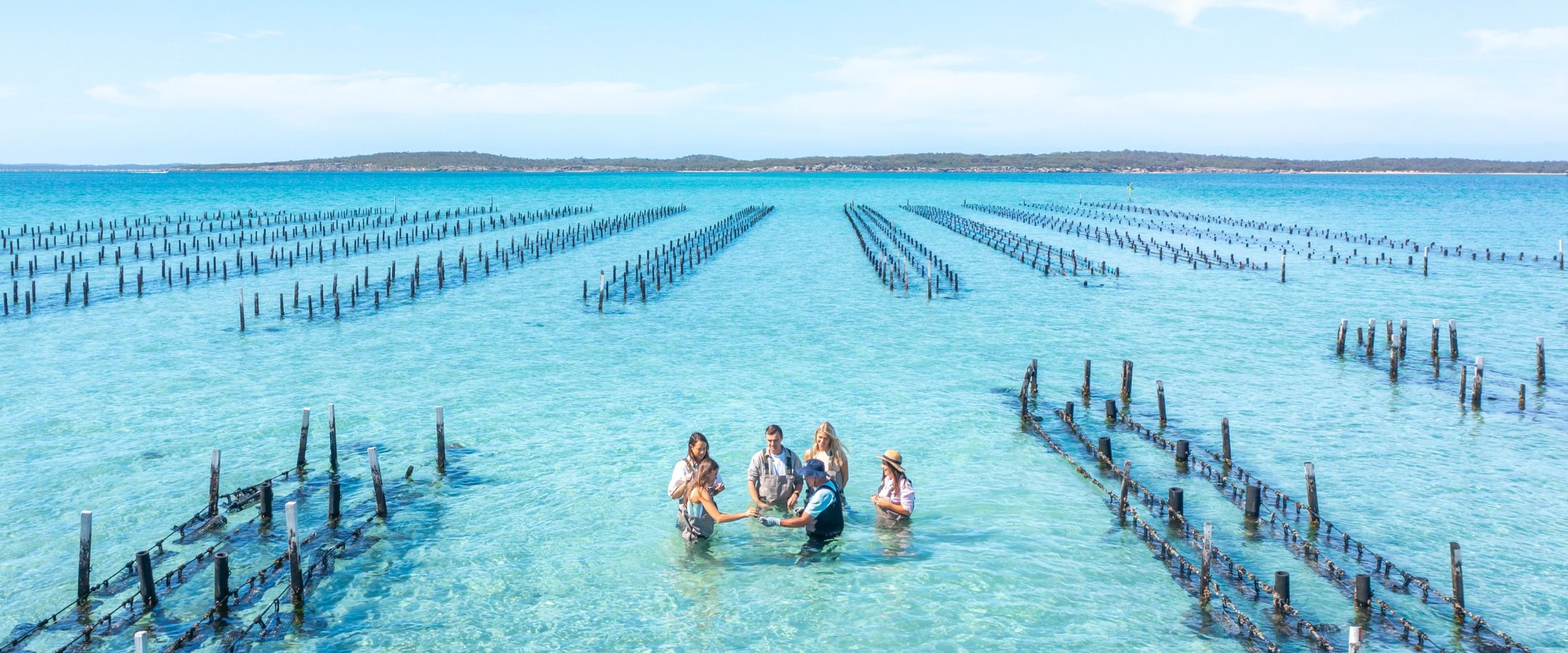 Experience Coffin Bay Oyster Tour (Tourism Australia Isaac Forman)