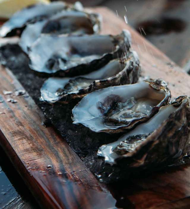  LET’S TALK ABOUT OYSTERS