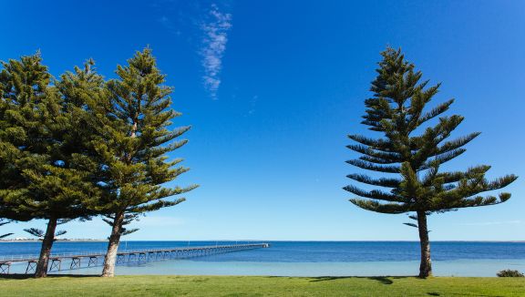 Ceduna foreshore (Rob Lang)