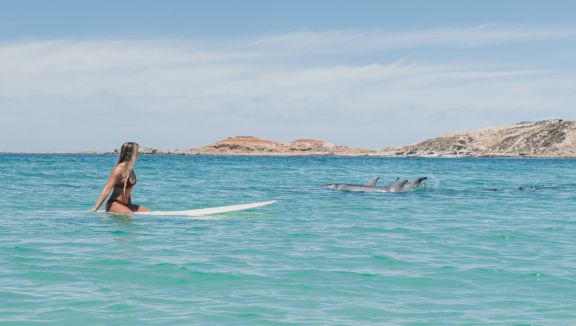 Surfing at Point Drummond (Glenn Ferguson)