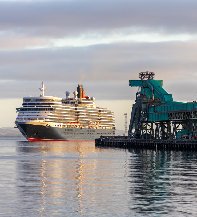 Cruise the Wild Side