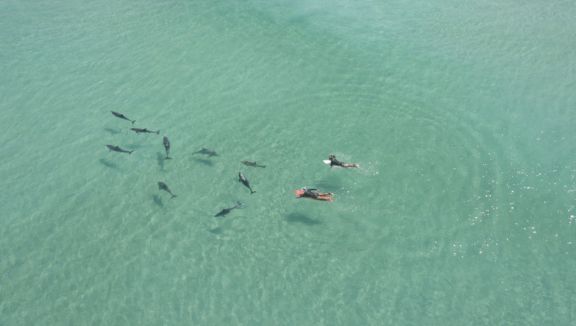 Paddling with dolphins near Streaky Bay (Amanda Bowden)